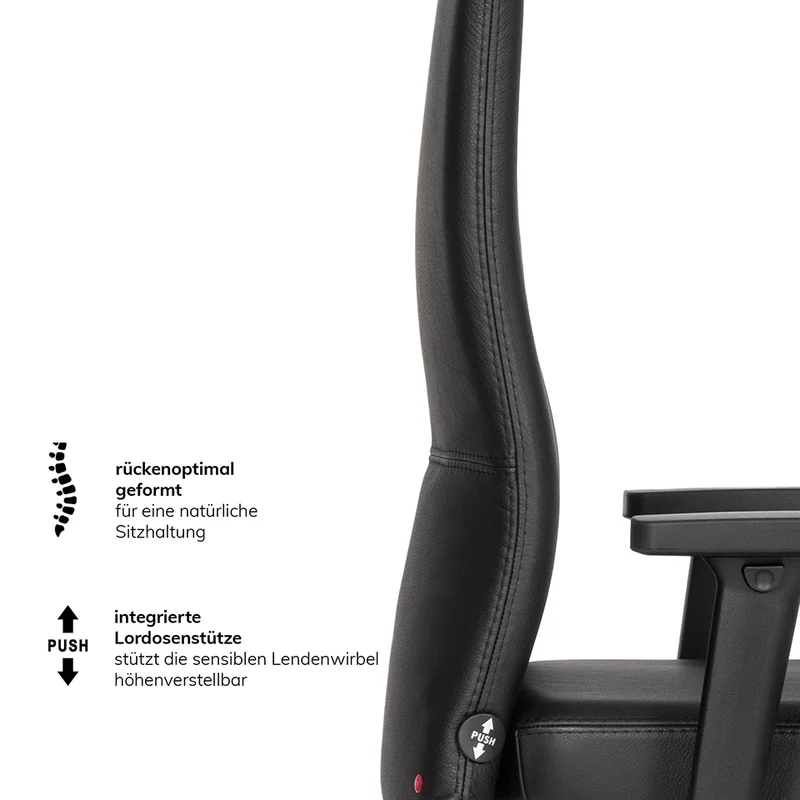 Ergonomischer Bürostuhl Agilis AG10 | Comfort | Leder | mit Kopstütze