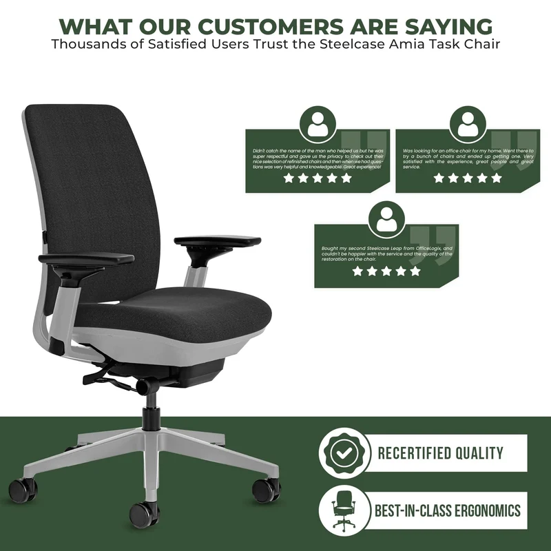 Steelcase Amia Task Chair (Platinum Frame) Fully Renewed
