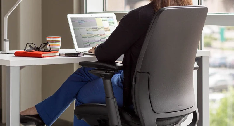Steelcase Amia Task Chair (Platinum Frame) Fully Renewed