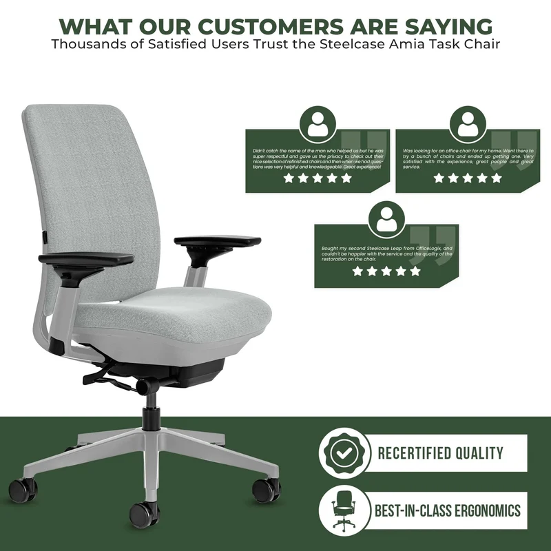 Steelcase Amia Task Chair (Platinum Frame) Fully Renewed