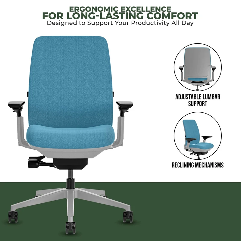 Steelcase Amia Task Chair (Platinum Frame) Fully Renewed