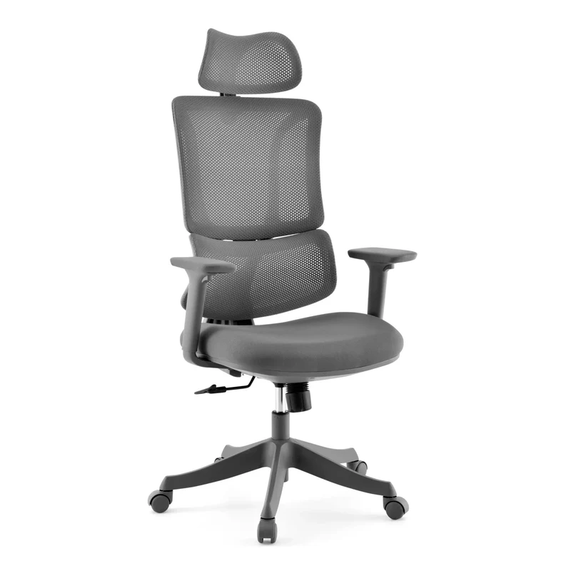 Ergomy Colore | Tissu / Maille 3D | Structure : Multicolore - Siège de bureau à domicile