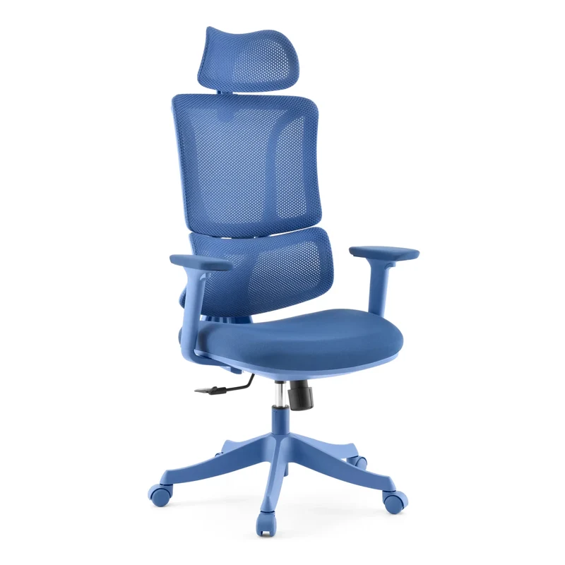 Ergomy Colore | Tissu / Maille 3D | Structure : Multicolore - Siège de bureau à domicile