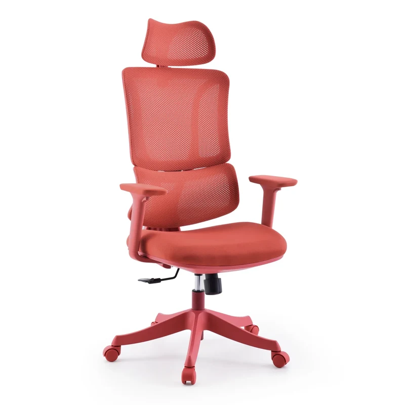 Ergomy Colore | Tissu / Maille 3D | Structure : Multicolore - Siège de bureau à domicile