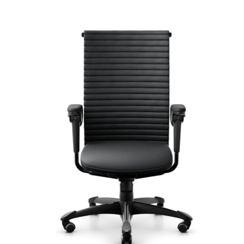 HAG H09 Excellence Mittlere Rückenlehne
