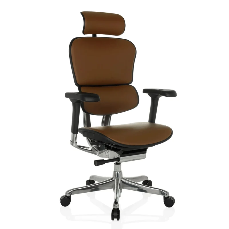 ERGOHUMAN GEN2 | Cuir - Siège de direction de luxe