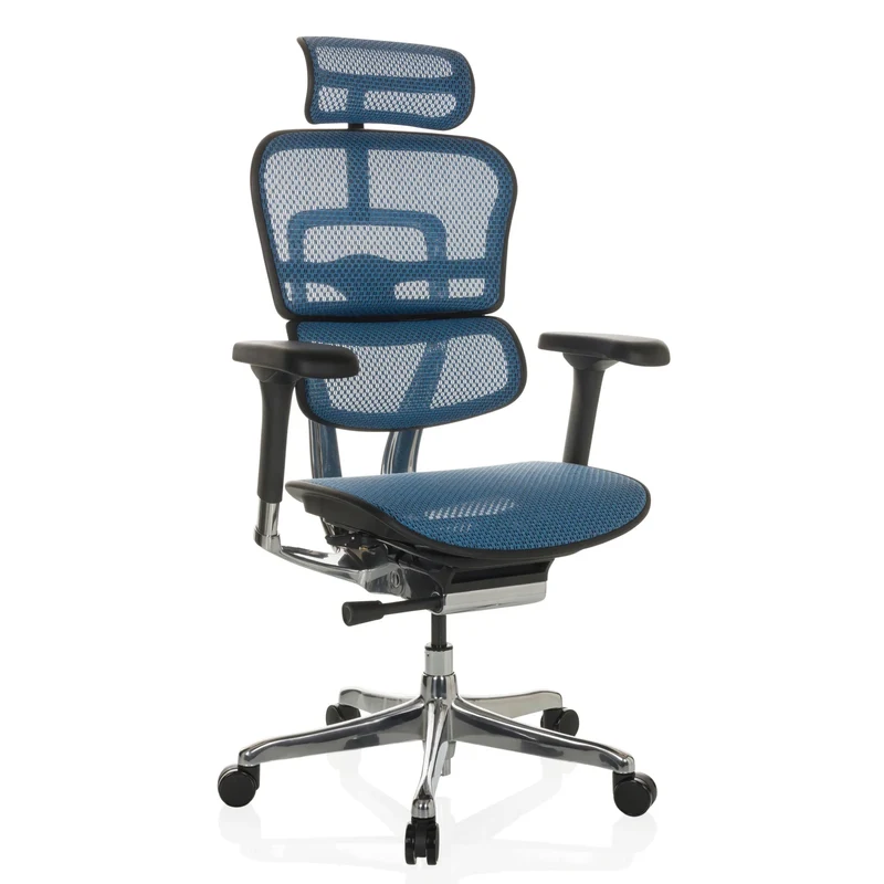 ERGOHUMAN GEN2 | tissu maille - Siège de direction de luxe