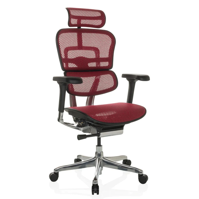 ERGOHUMAN GEN2 | tissu maille - Siège de direction de luxe