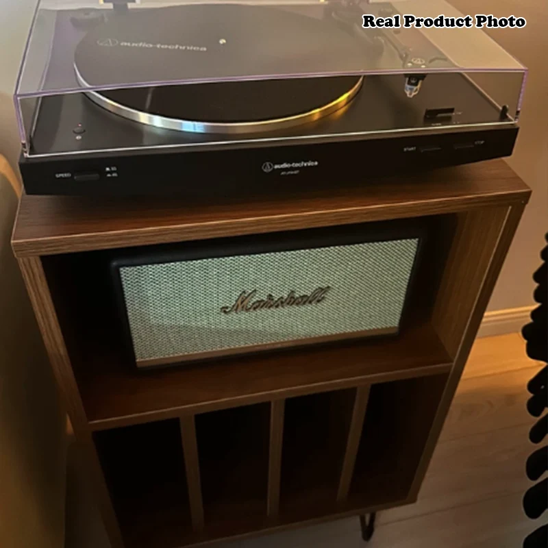 Modern Minimalist Rectangular Particle Board Metal Vinyl Record Storage Cabinet 2-Tier For Living Room