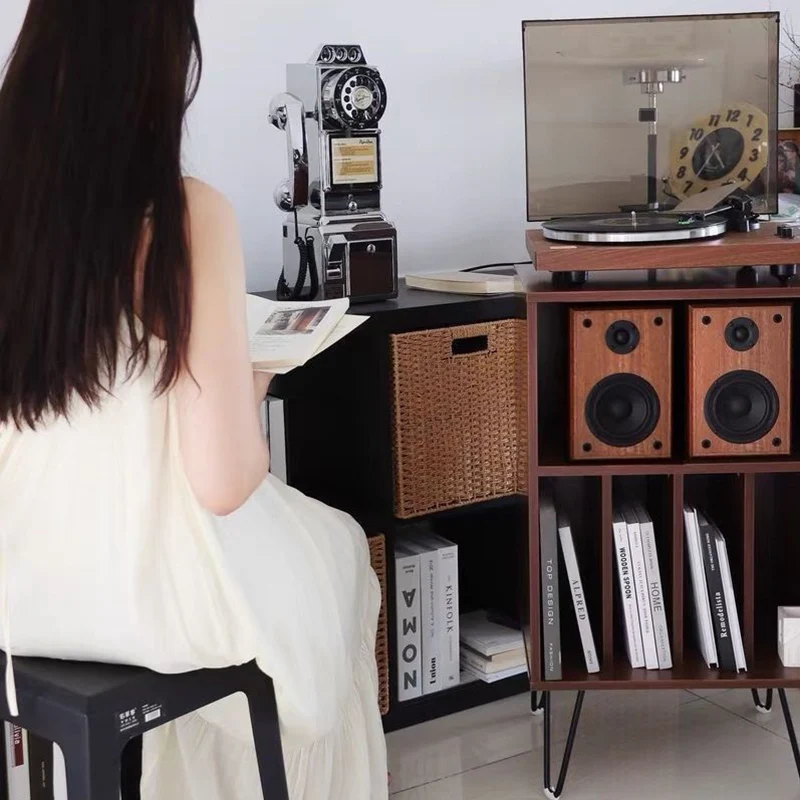 Modern Minimalist Rectangular Particle Board Metal Vinyl Record Storage Cabinet 2-Tier For Living Room