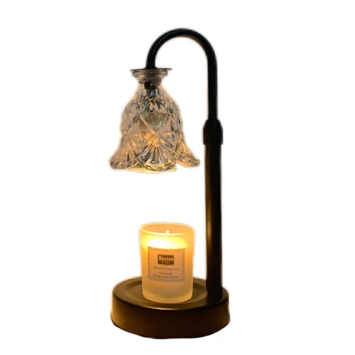 Modern Minimalist Flower Iron Glass Wood 1-Light Aromatherapy Melting Wax Table Lamp For Bedroom