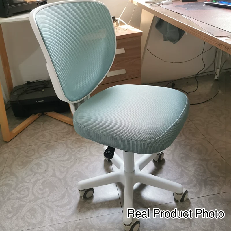 Contemporary Simplicity Round Mesh PP Desk Chair Backrest Armless For Home Office