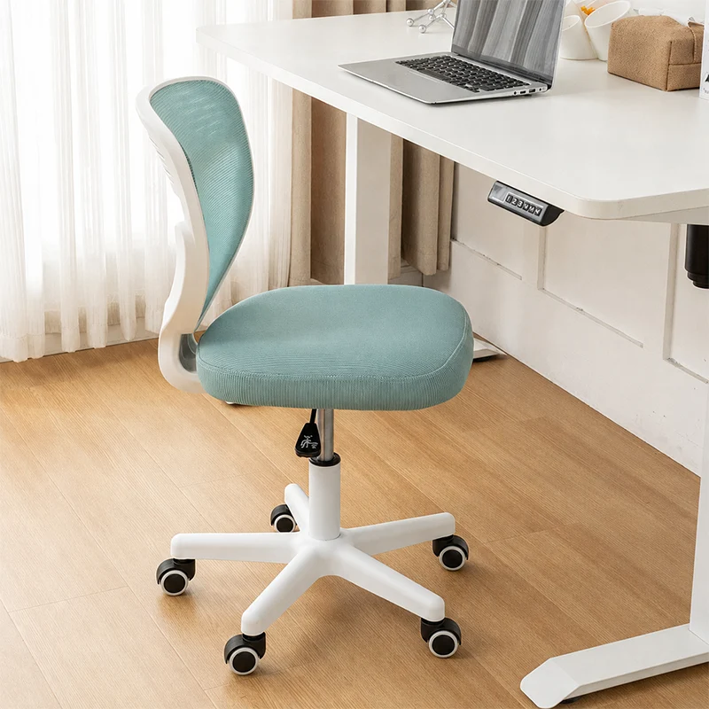 Contemporary Simplicity Round Mesh PP Desk Chair Backrest Armless For Home Office