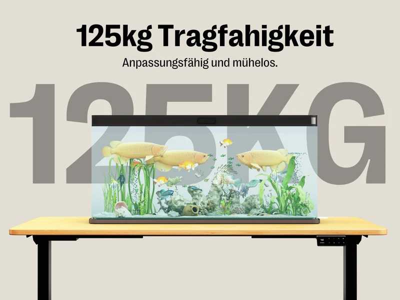 Maidesite T2 Elektrisch Höhenverstellbarer Schreibtisch mit zwei Motoren