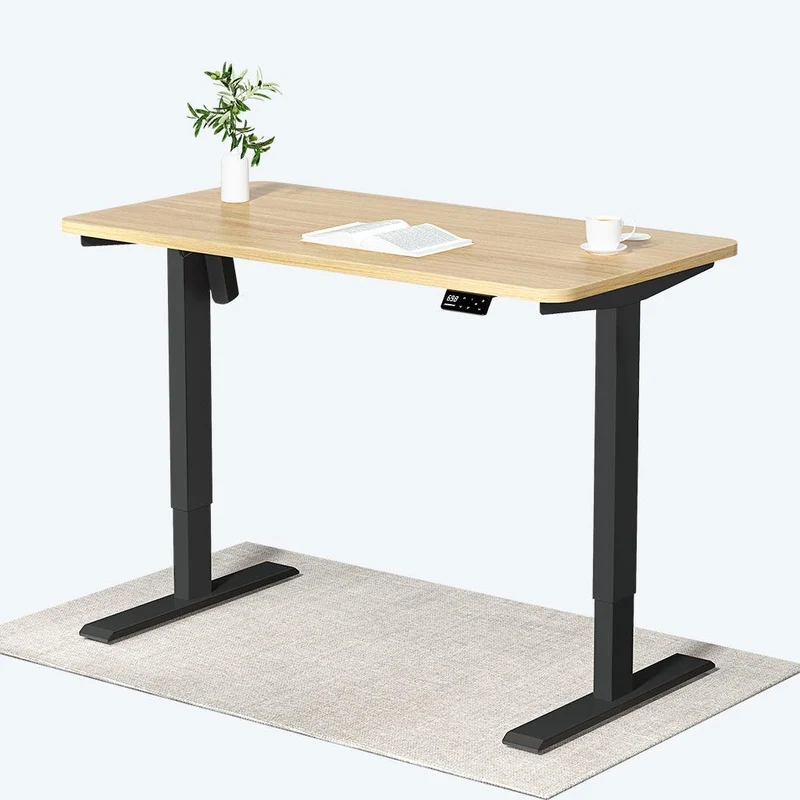 Maidesite S1 Basic - Elektrisch Höhenverstellbarer Schreibtisch 120x60 cm