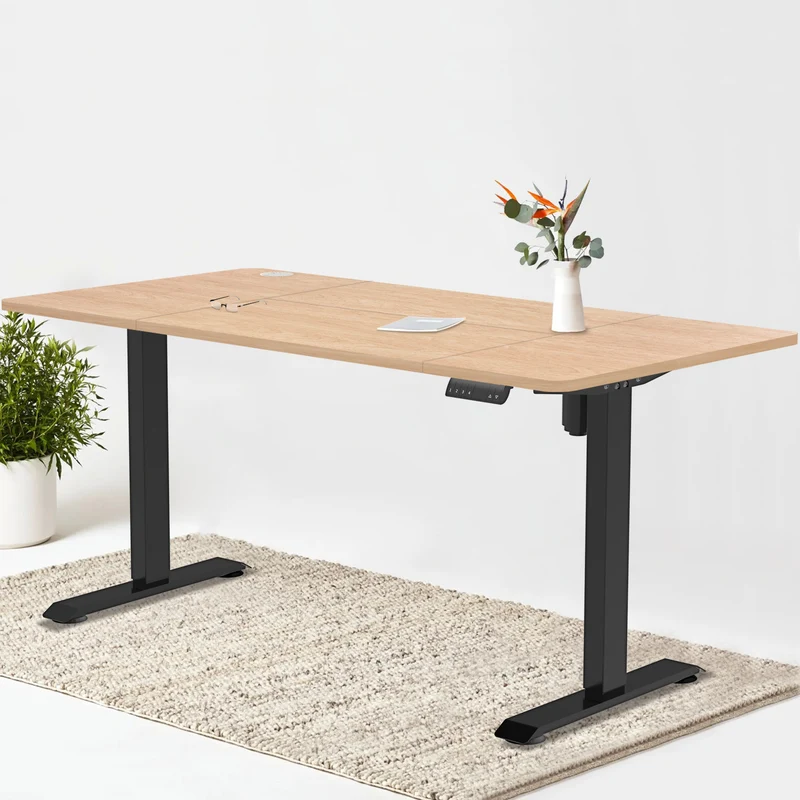 Pro Elektrisch Höhenverstellbarer Schreibtisch