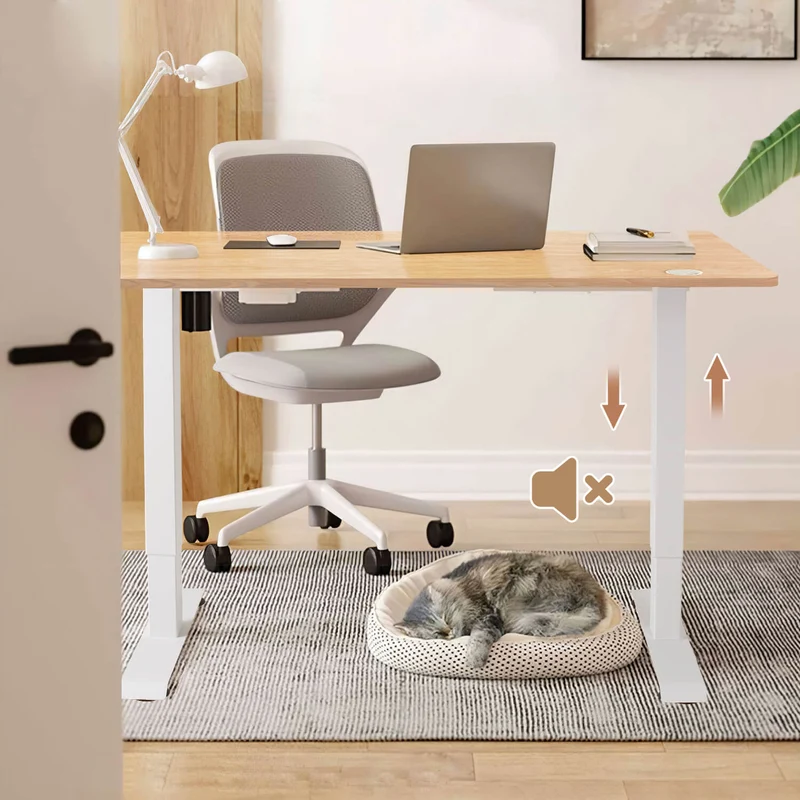 Elektrisch Höhenverstellbarer Schreibtisch 120X60 cm mit voller Arbeitsfläche