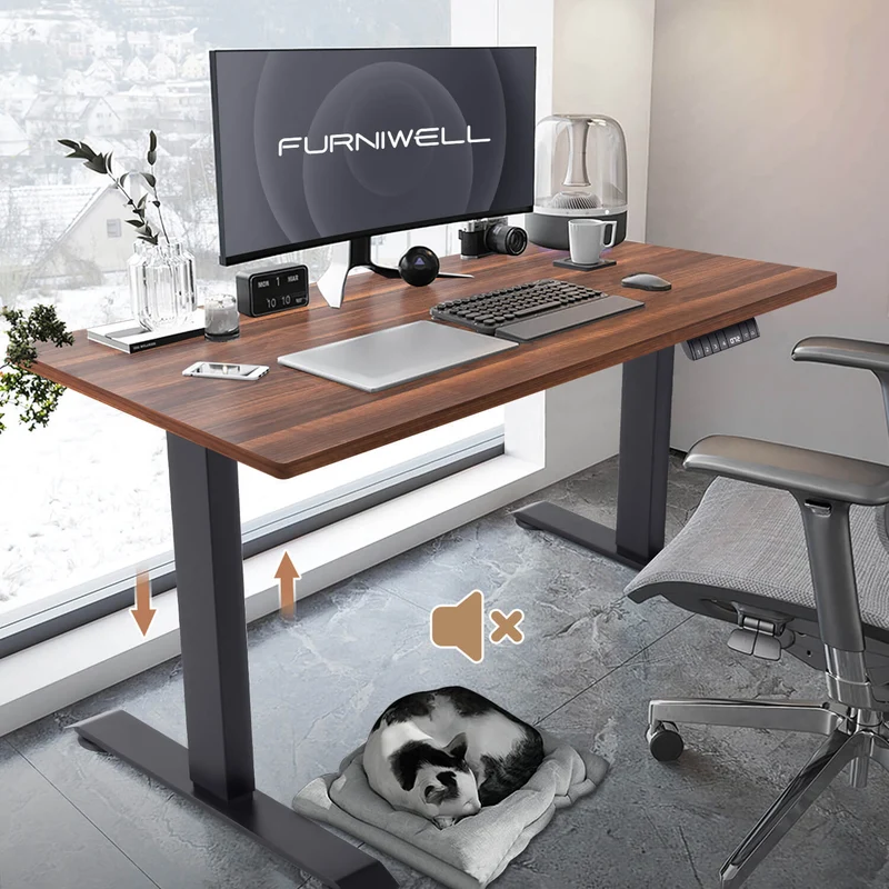 Elektrisch Höhenverstellbarer Schreibtisch 120X60 cm mit voller Arbeitsfläche