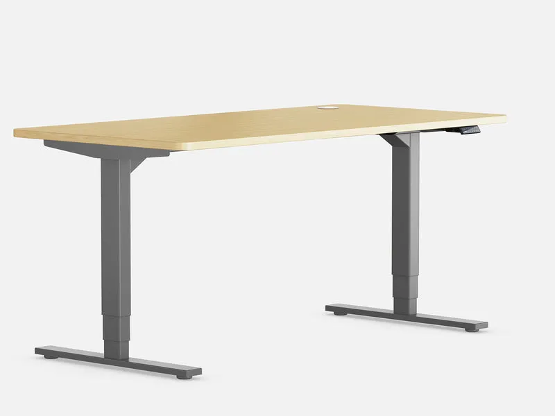 Maidesite T2 Pro Plus – Erweiterter Profi-Höhenverstellbarer Schreibtisch
