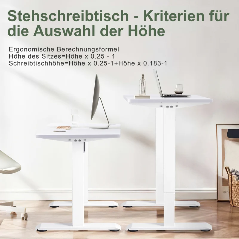 Elektrisch Höhenverstellbarer Schreibtisch 160X80 cm