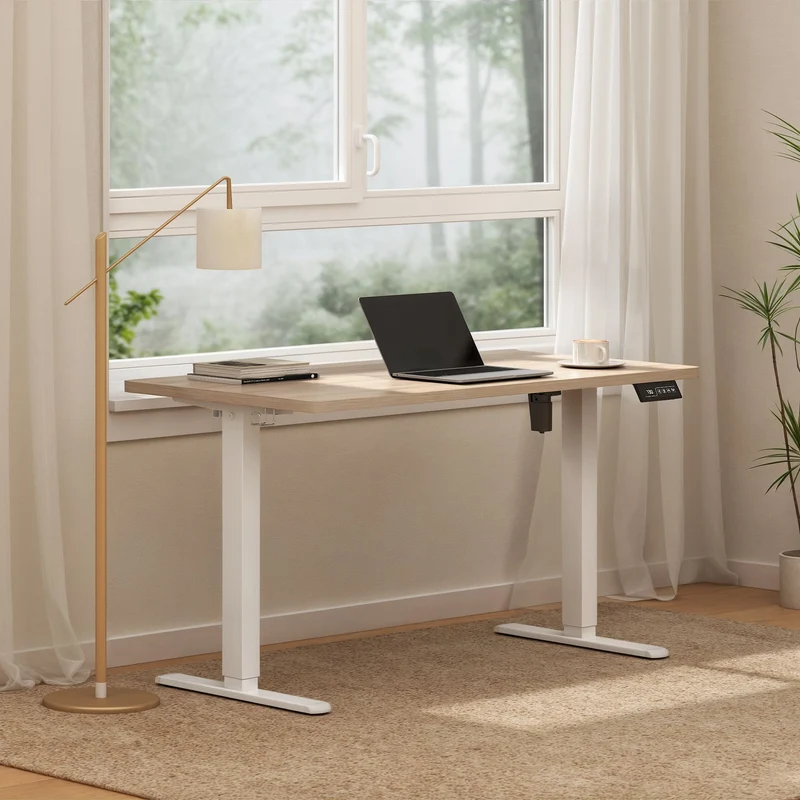 Economy Solid Elektrisch Höhenverstellbarer Schreibtisch