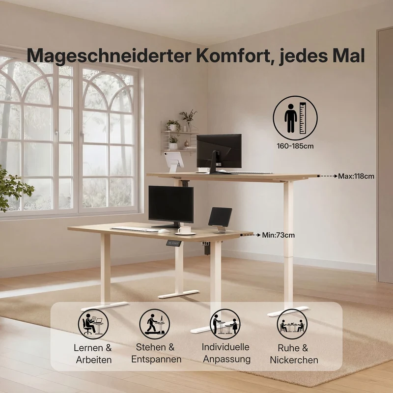 Economy Solid Elektrisch Höhenverstellbarer Schreibtisch