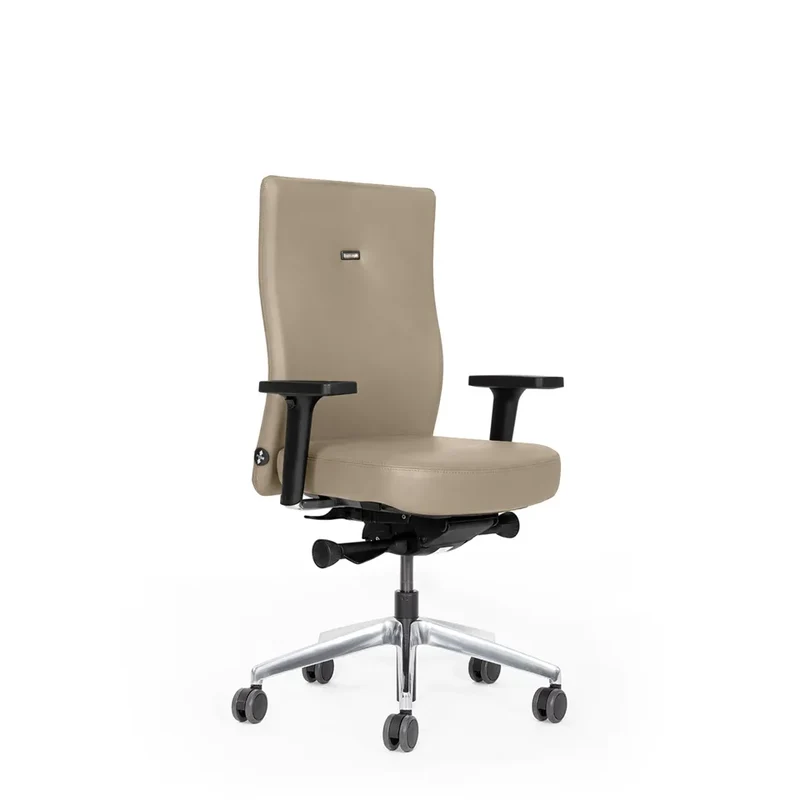 Ergonomischer Bürostuhl Agilis AG10 | Comfort | Leder