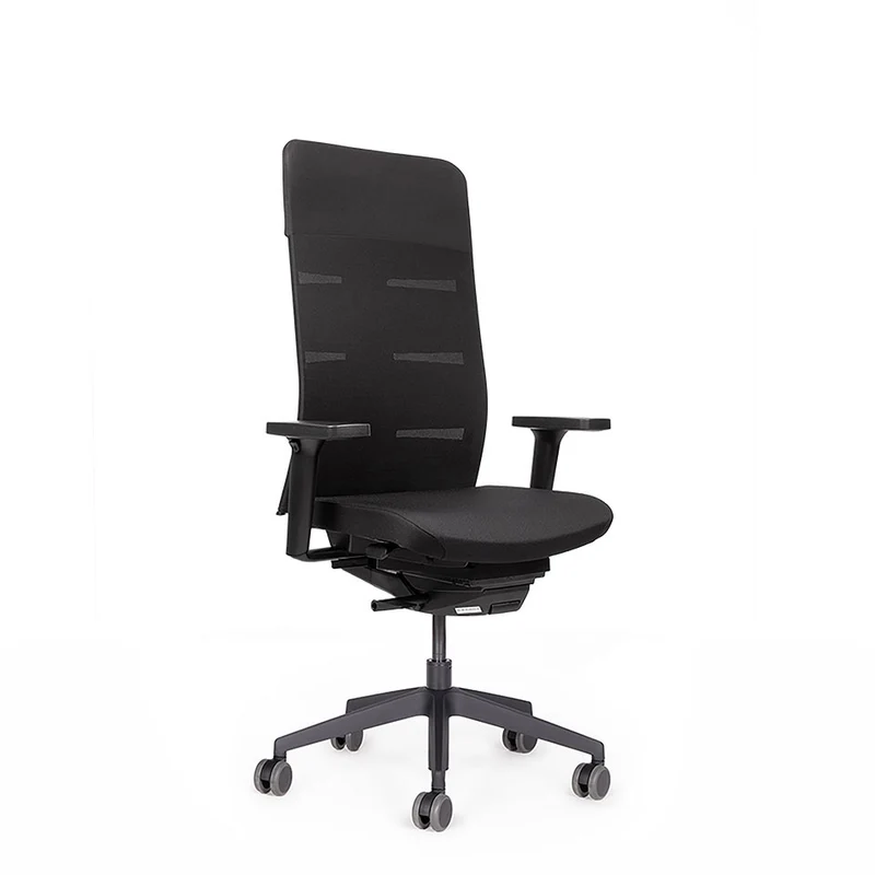 Ergonomischer Bürostuhl Netzrücken Agilis Matrix MT13 | Schwarz