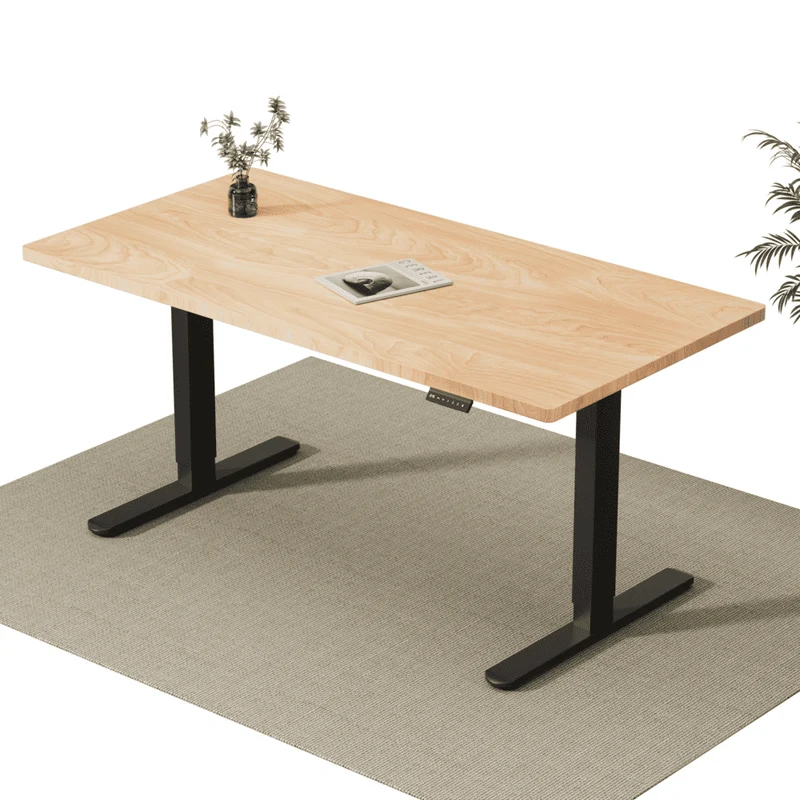 V2 Ultra Pro Elektrisch Höhenverstellbarer Schreibtisch mit Doppelmotor
