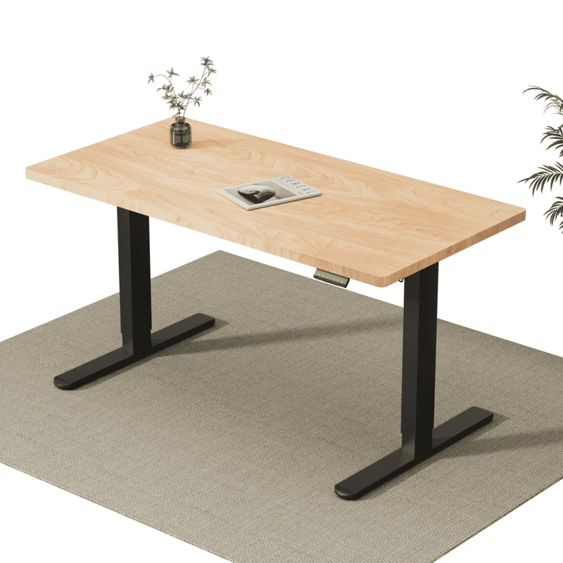 V2 Ultra Pro Elektrisch Höhenverstellbarer Schreibtisch mit Doppelmotor
