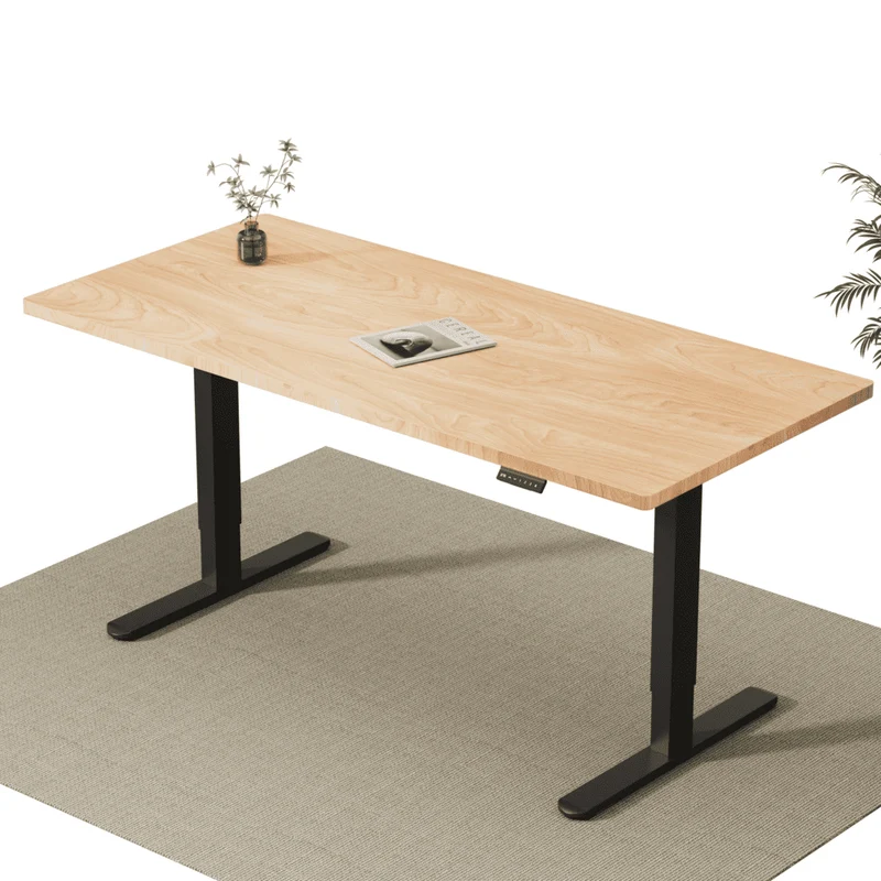 V2 Ultra Pro Elektrisch Höhenverstellbarer Schreibtisch mit Doppelmotor
