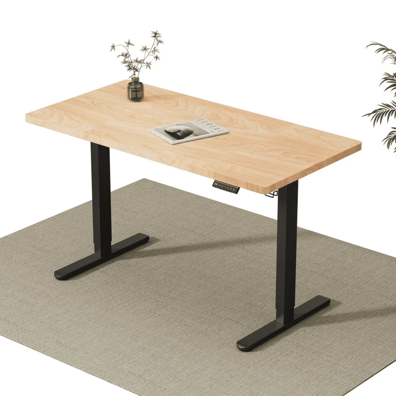 V2 Ultra Pro Elektrisch Höhenverstellbarer Schreibtisch mit Doppelmotor