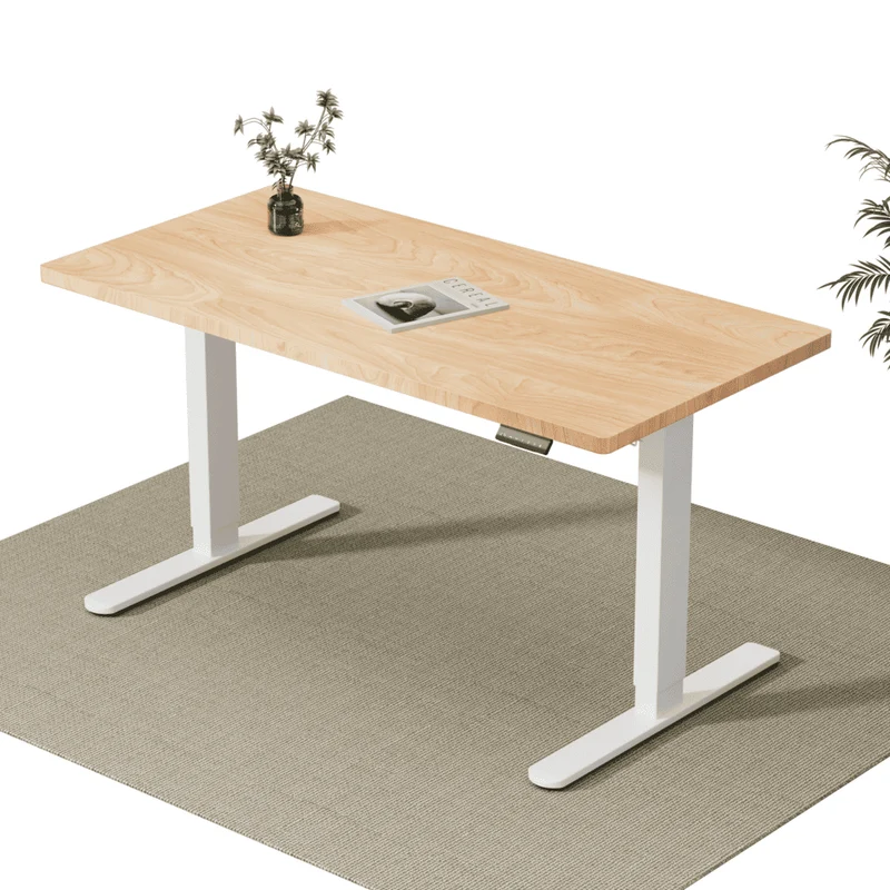 V2 Ultra Pro Elektrisch Höhenverstellbarer Schreibtisch mit Doppelmotor