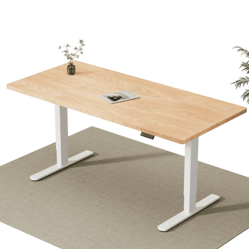 V2 Ultra Pro Elektrisch Höhenverstellbarer Schreibtisch mit Doppelmotor