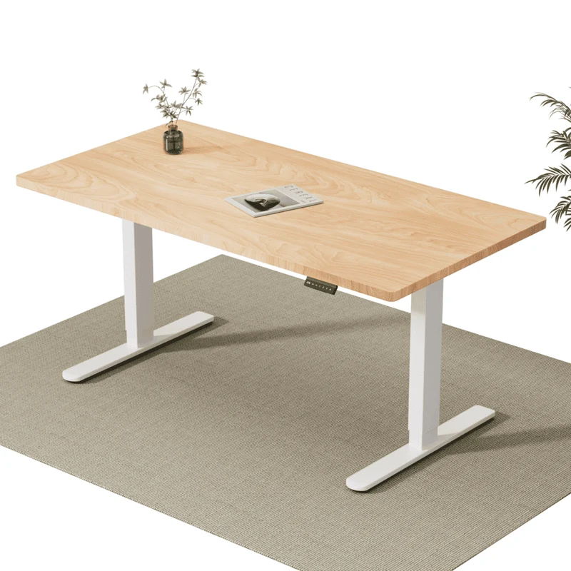 V2 Ultra Pro Elektrisch Höhenverstellbarer Schreibtisch mit Doppelmotor