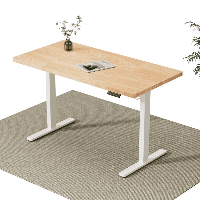 V2 Ultra Pro Elektrisch Höhenverstellbarer Schreibtisch mit Doppelmotor