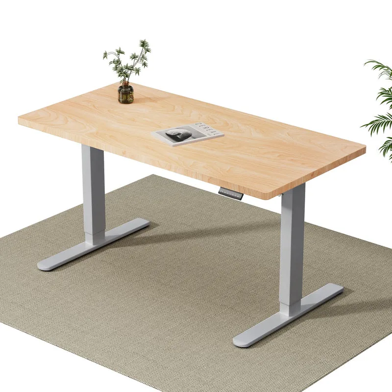 V2 Ultra Pro Elektrisch Höhenverstellbarer Schreibtisch mit Doppelmotor