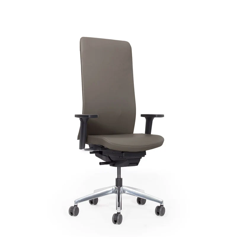 Ergonomischer Bürostuhl | Bezug Echtleder | lento Agilis Matrix MT13