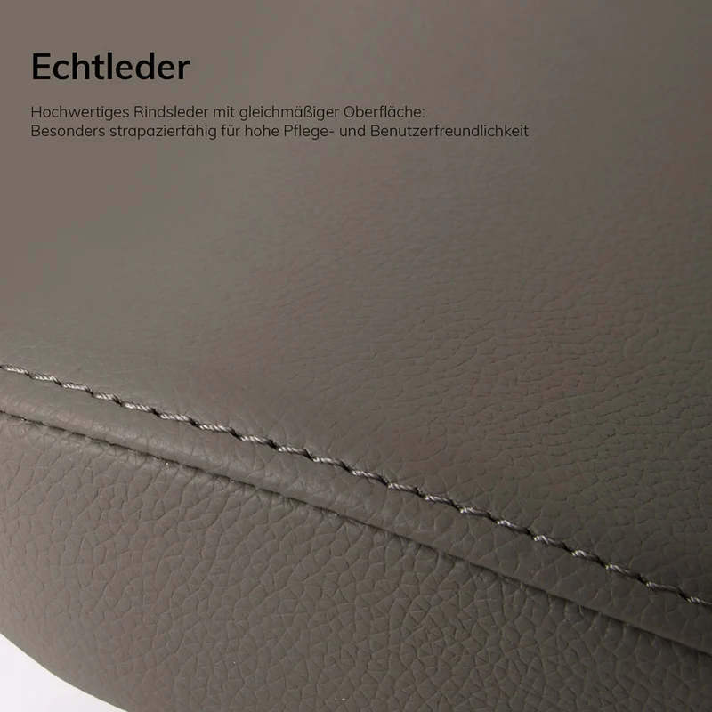 Ergonomischer Bürostuhl | Bezug Echtleder | lento Agilis Matrix MT13