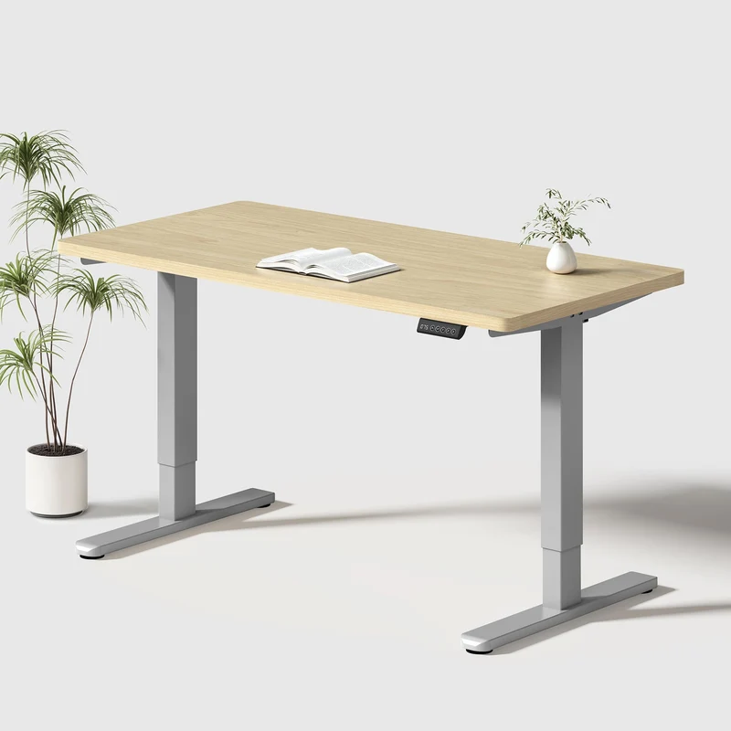 Basic Höhenverstellbarer Schreibtisch mit Entire Board Desktop