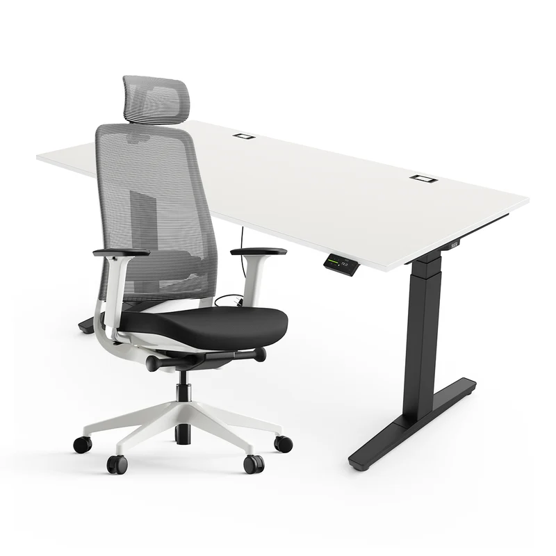 Expert Set: Desk & Chair Expert