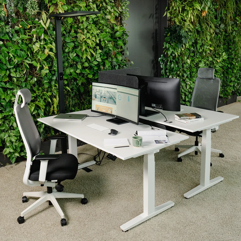 Expert Set: Desk & Chair Expert