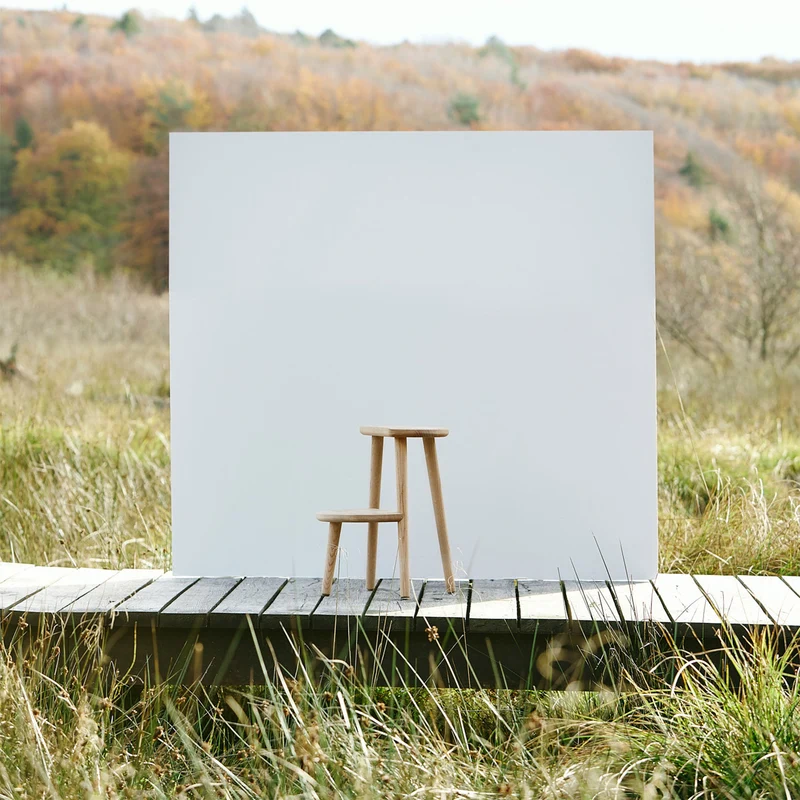 Step Stool