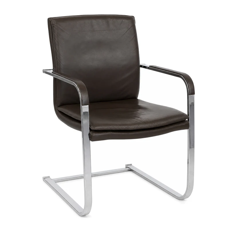SITAG Freischwinger Leder braun