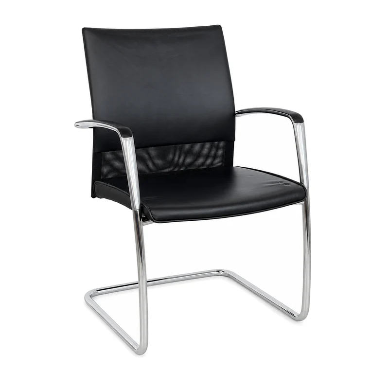 Walter Knoll Art Collection Leder schwarz