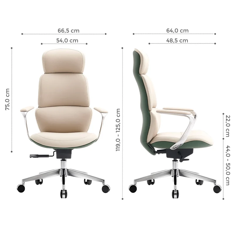Omidi Nolan – Ergonomischer Lederstuhl im klassischen Design
