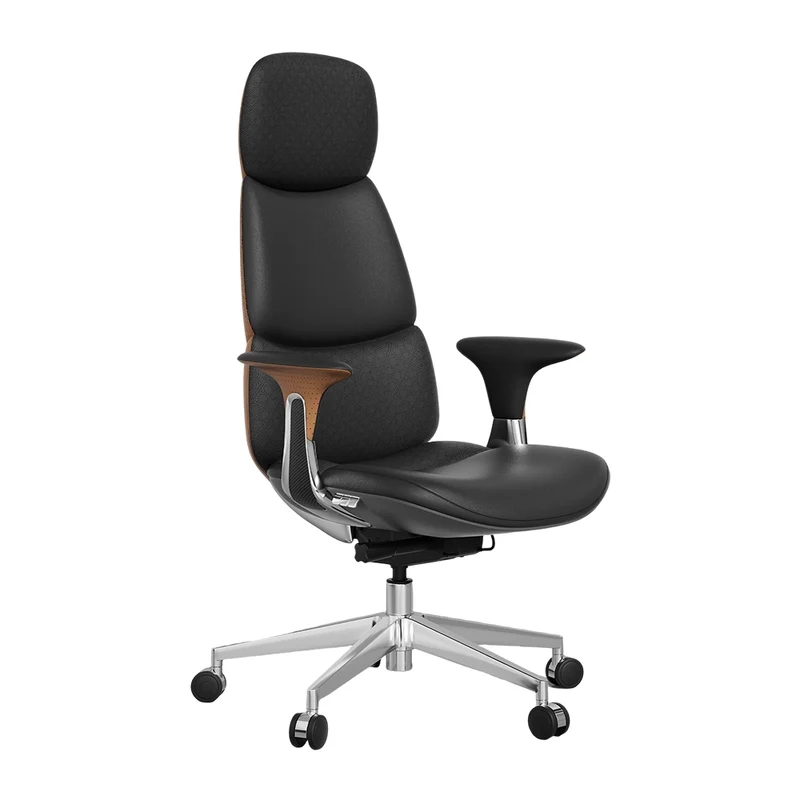 Omidi Nyla – Exklusiver ergonomischer Lederstuhl