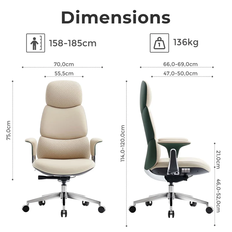 Omidi Nyla – Exklusiver ergonomischer Lederstuhl
