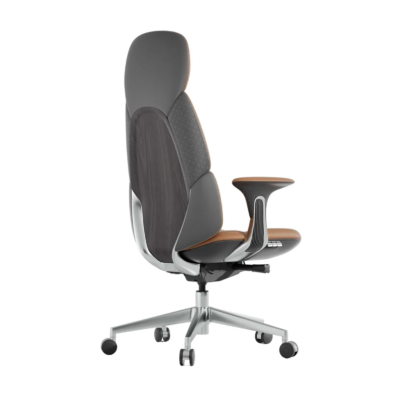 Omidi Nyla – Exklusiver ergonomischer Lederstuhl