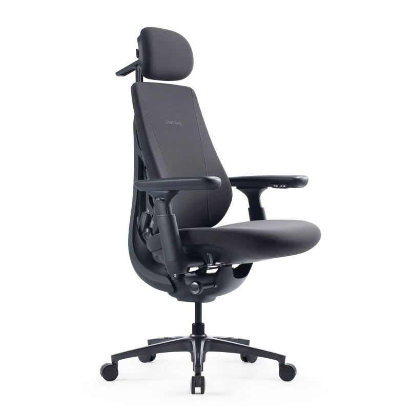 LiberNovo Maxis Dynamischer Ergonomischer Stuhl